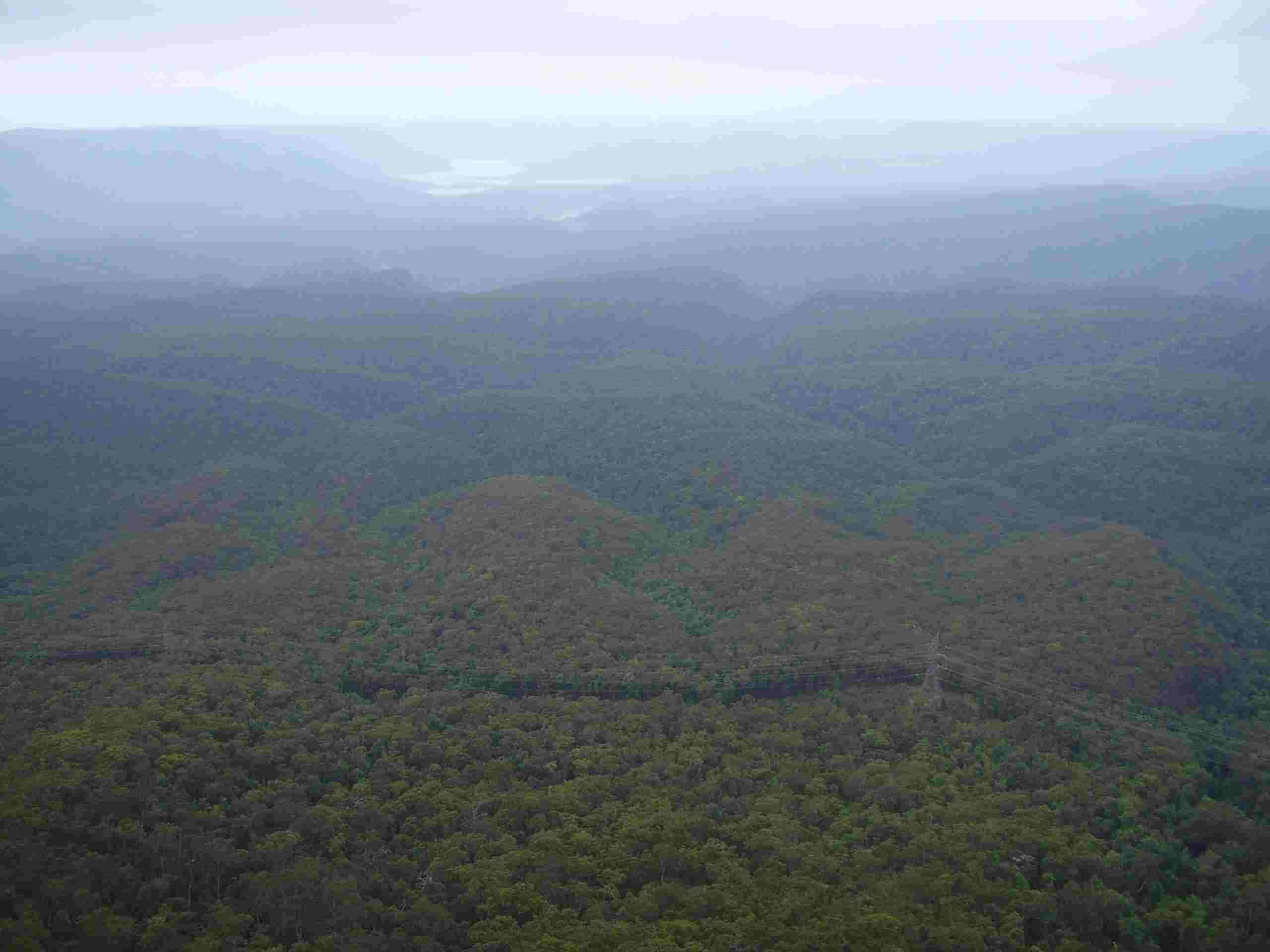 Narrow Neck